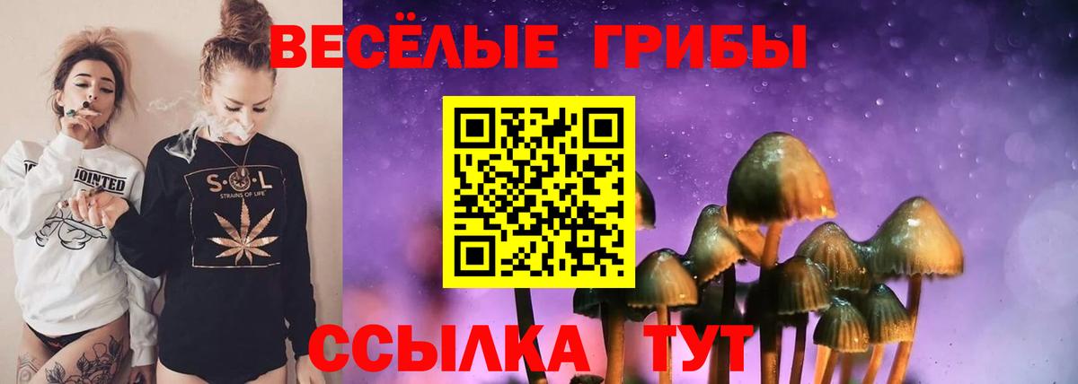 Псилоцибиновые грибы мухоморы Губкин