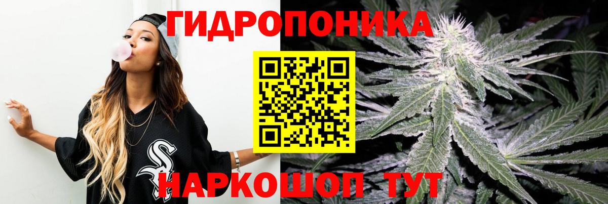 Бошки марихуана VHQ  Шишки марихуана White Widow  Губкин  Вход с VPN  Каннабис сатива 